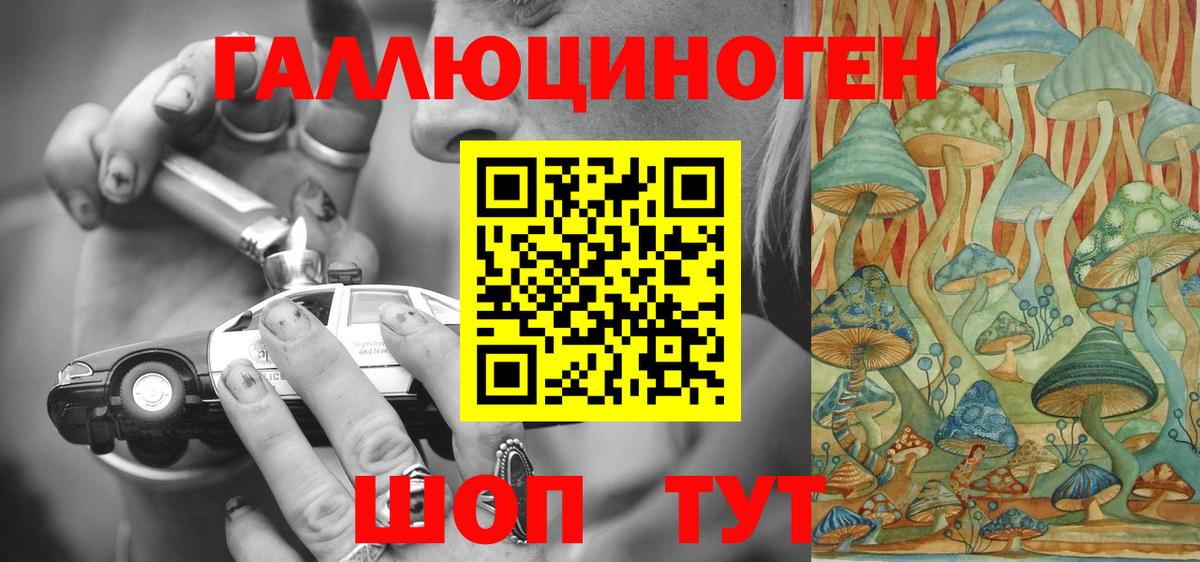 Псилоцибиновые грибы Cubensis Волгоград