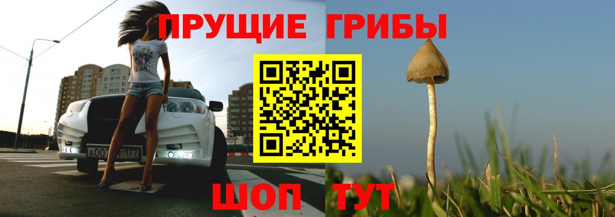 Волгоград  Галлюциногенные грибы прущие грибы  Вход с VPN  Галлюциногенные грибы GOLDEN TEACHER 